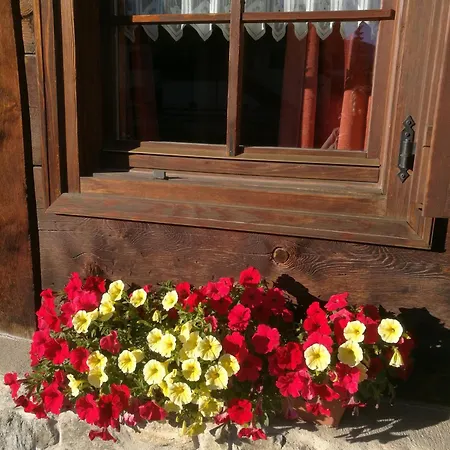 Claudia Λιβίνιο